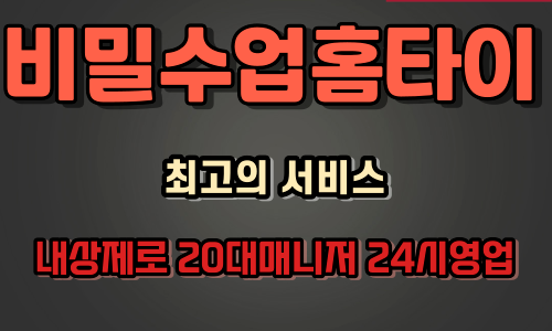 ❤️비밀수업홈타이❤️