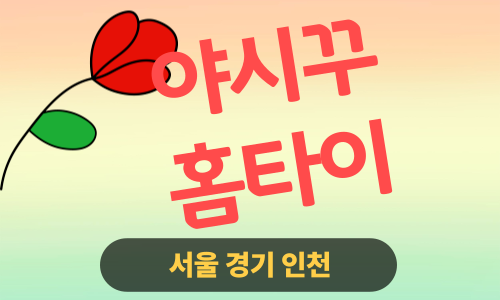 ✨야시꾸홈타이✨성동구 출장 마사지 성동홈타이 성동출장스웨디시 24시 안마 -마사지맛집