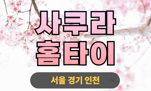 ✨사쿠라홈타이✨송파 출장 마사지 송파홈타이 송파출장스웨디시 24시 안마 -마사지맛집