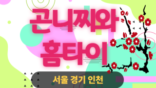 ✨곤니찌와홈타이✨안산 출장 마사지 안산홈타이 안산출장스웨디시 24시 안마