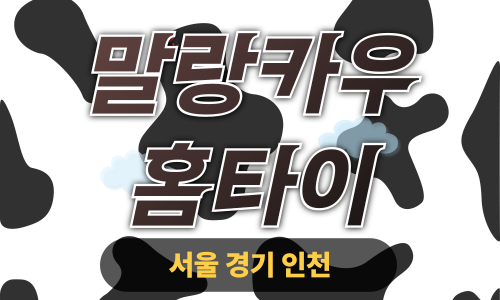 ✨말랑카우홈타이✨양평 출장 마사지 양평홈타이 양평출장스웨디시 24시 안마